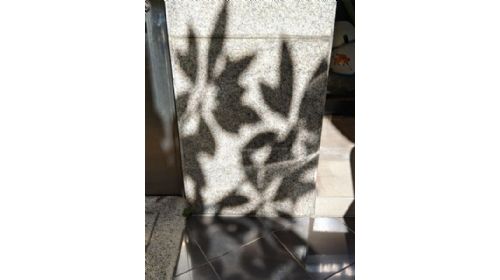 【大港先生 × 徠弎樓】多元空間：開幕 • 吃吃喝喝 • 歡樂日！