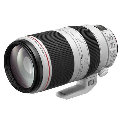 Canon EF 100-400mm 二代鏡 f/4.5-5.6L IS II USM 鏡頭